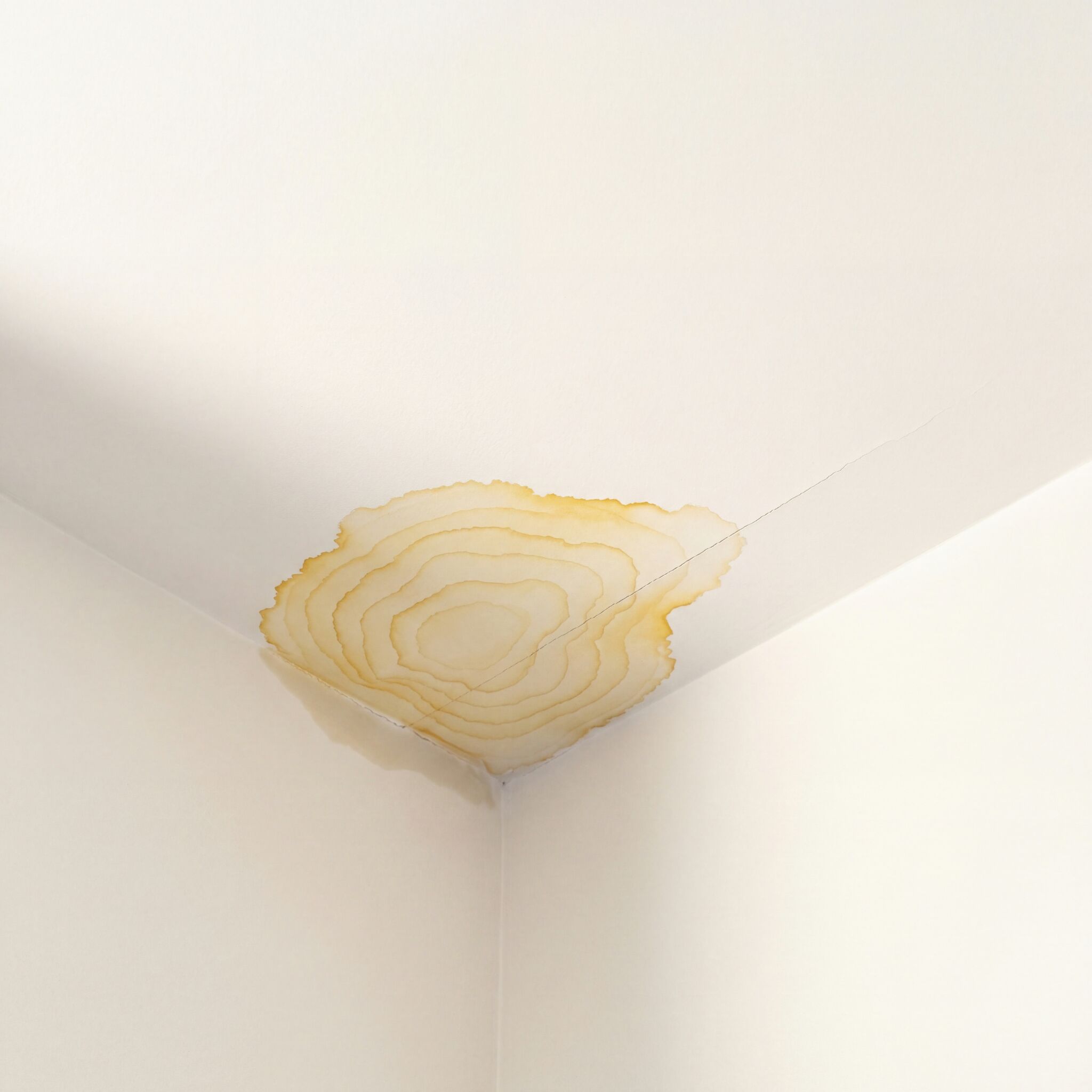 Residential ceiling corner with a topographic-ringed yellow water stain bleeding inward and a hairline drywall seam crack